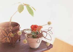 お洒落なカーテンレールを探している方に