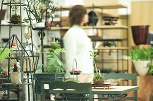 立川ショールーム｜タカラスタンダードの最新設備とデザインを体感できる専門施設